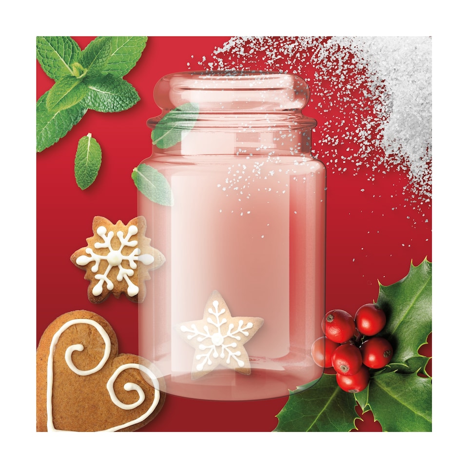 image 1 of Yankee Candle HI Mistletoe Charm Large Jar 538g 