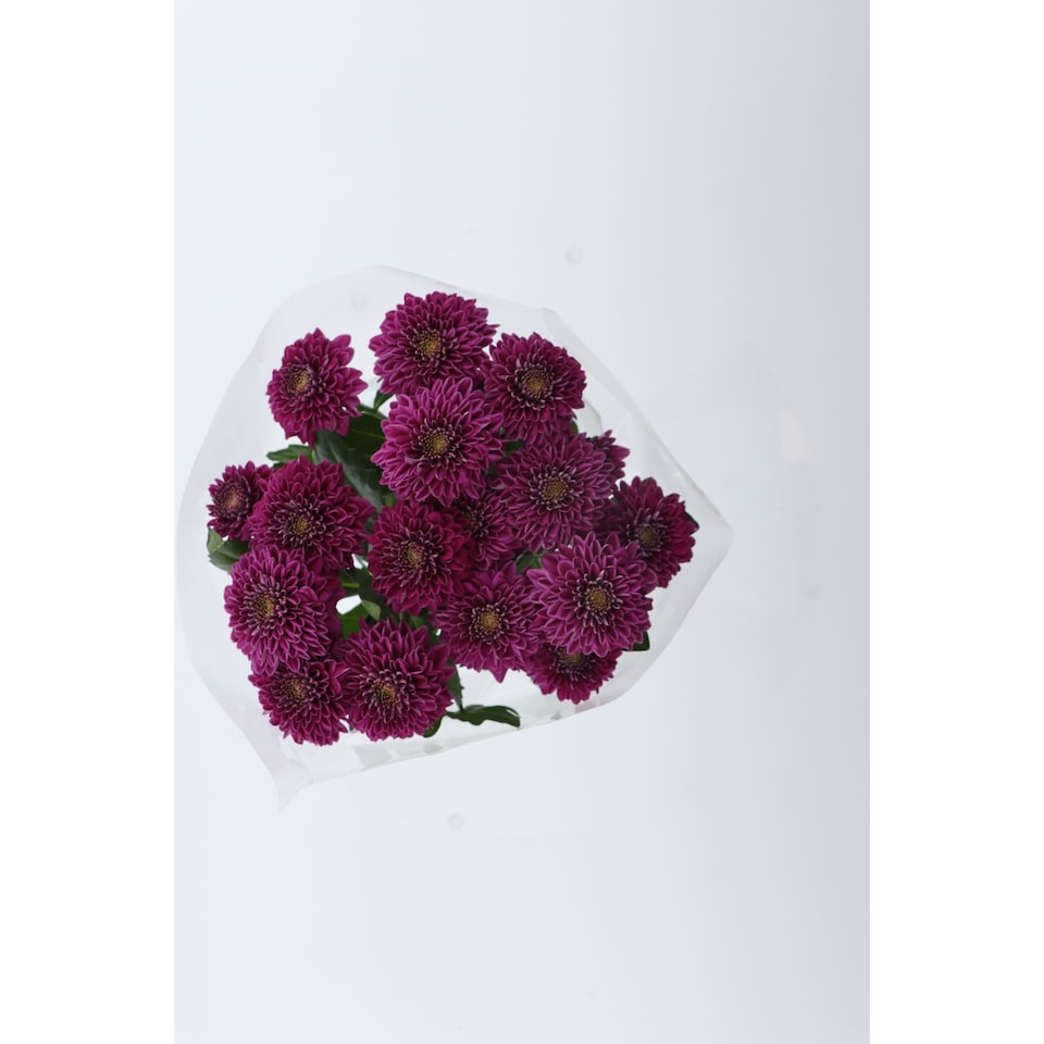 image 1 of The Floral Connection Chrysanthemum Bouquet