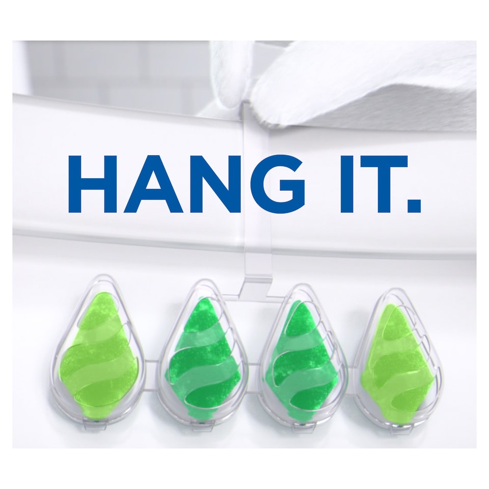 image 1 of Duck Activeclean Rimblocks Pine Forest 2X38.6G