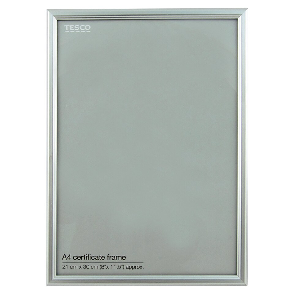 Tesco Frame A4 Silver