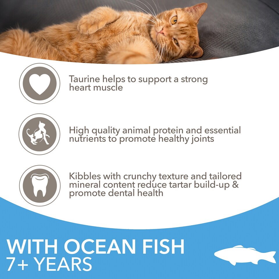 image 1 of Iams Senior 7+ Cat Food With Ocean Fish 2Kg