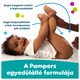 image 3 of Pampers Fresh Clean Baby Wipes 5 Packs = 260 Wipes