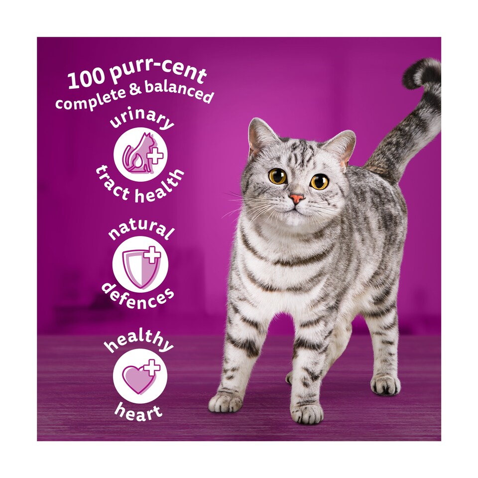 image 1 of Whiskas 7+ Senior Dry Cat Food Biscuits Chicken 1.9kg