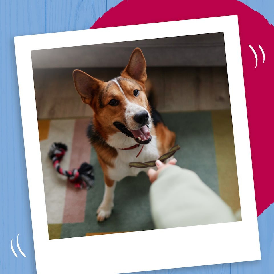 image 1 of Bakers Whirlers Dog Treats Bacon And Cheese 130G