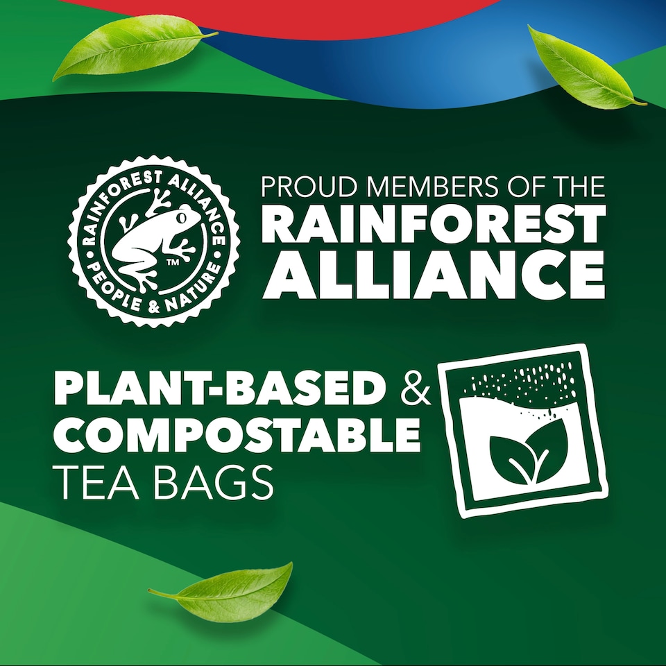 image 1 of PG Tips Decaf Black Tea 70 Tea Bags 203g