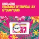 image 3 of Surf 3 In1 Tropical Lily Washing Capsules 18 Washes 311.4g