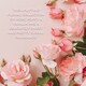 image 4 of Baylis & Harding Royale Garden Rose, Poppy & Vanilla Luxury Hand Care Gift Set