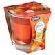 Obrázek 1 pro produkt Glade Pumpkin Spice Latte parfémovaná svíčka 112g