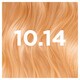 image 2 of Garnier Good Permanent Hair Colour - 10.14 Chamomile Blonde
