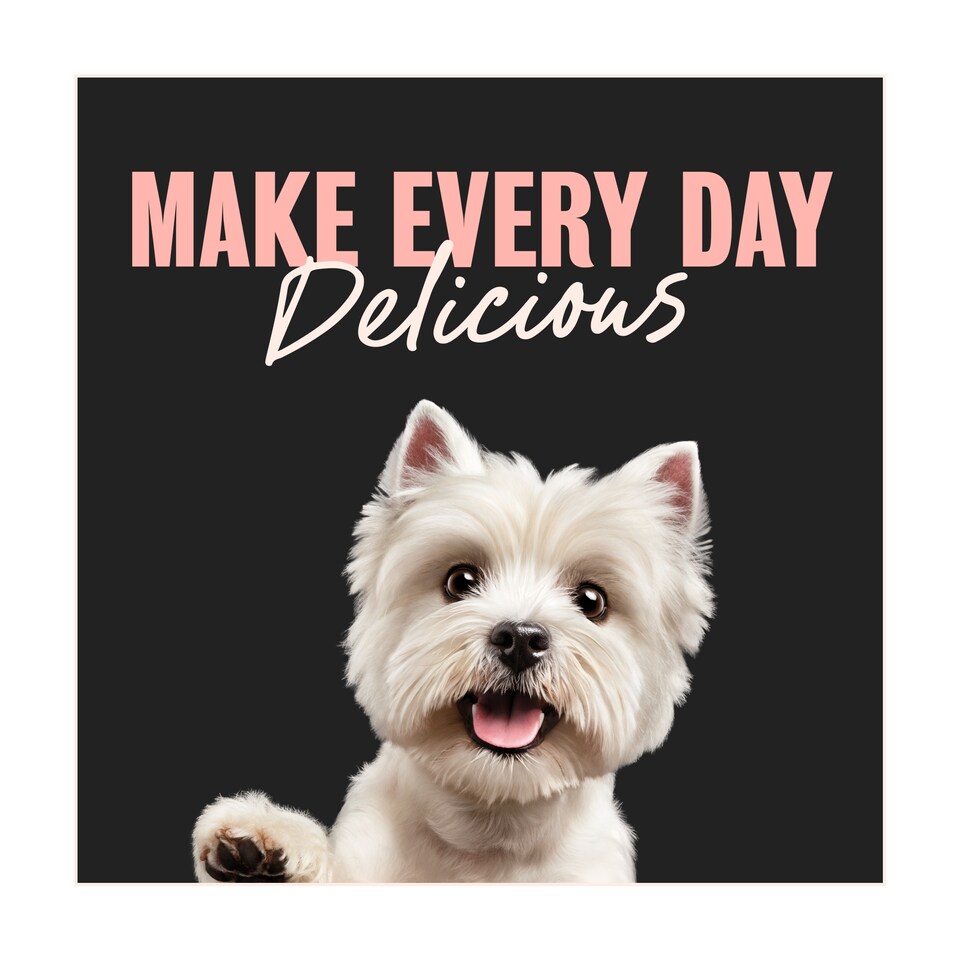 image 1 of CESAR Wet Dog Food Garden Terrine with Chicken in Loaf 300g