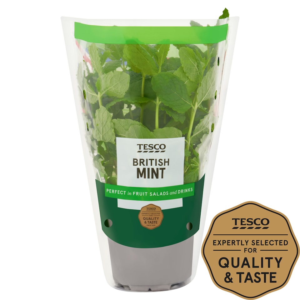 image 1 of Tesco Growing Mint Medium Pot