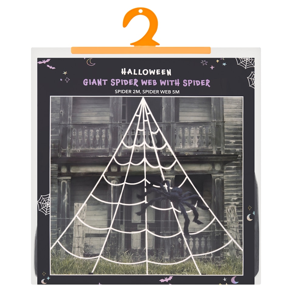 Halloween Giant Spider with Web