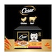 image 4 of Cesar Deliciously Fresh Wet Dog Food Pouches in Jelly 12x100g