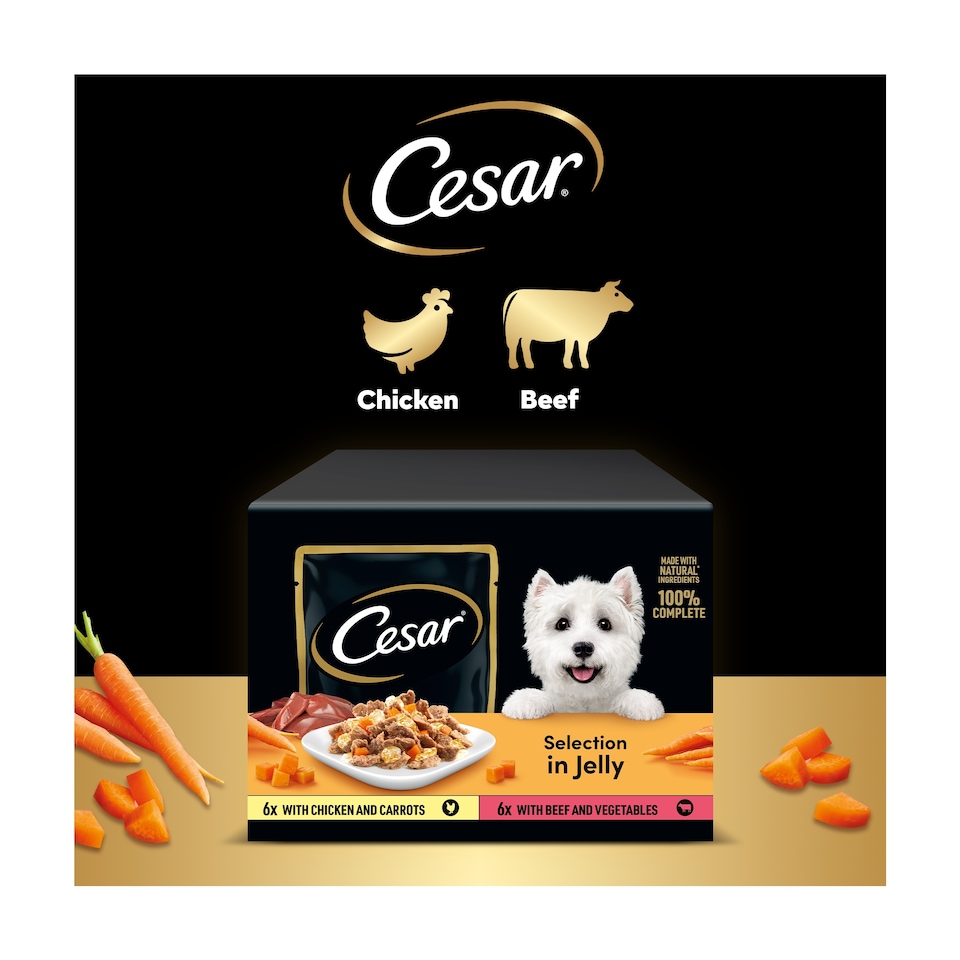 image 1 of Cesar Deliciously Fresh Wet Dog Food Pouches in Jelly 12x100g