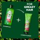image 3 of Herbal Essences Strawberry & Mint Repair Hair Conditioner 275ml