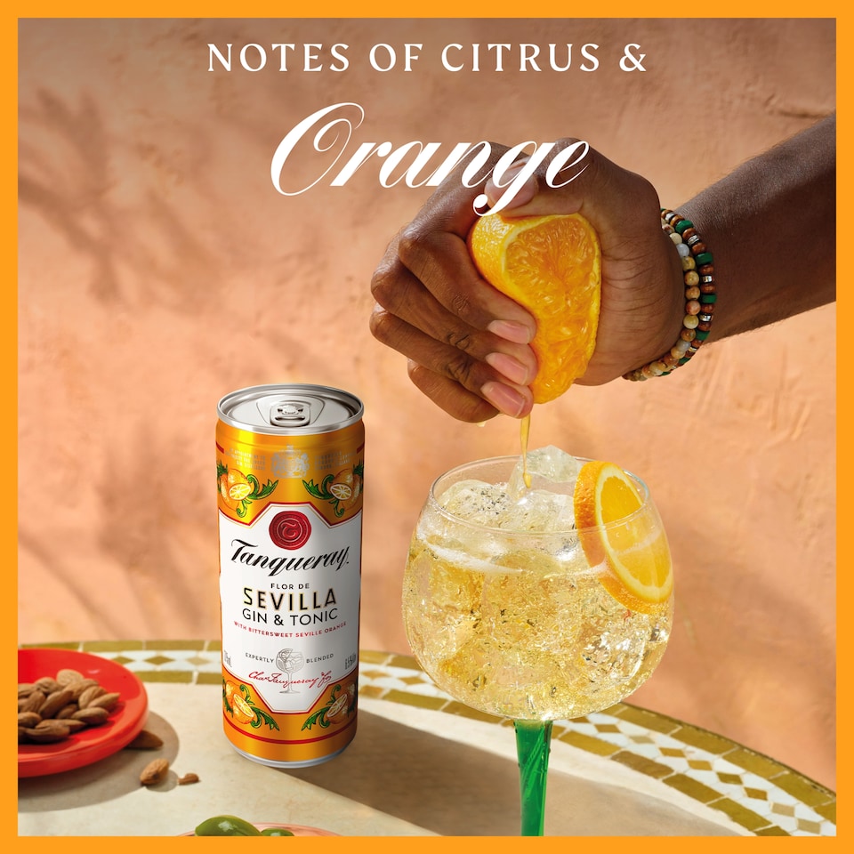 image 1 of Tanqueray Flor de Sevilla Gin & Tonic Ready to Drink Premix 250ml