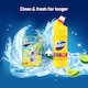 image 3 of Domestos Power 5 Toilet Rim Block Freshener Lime 2x 50g
