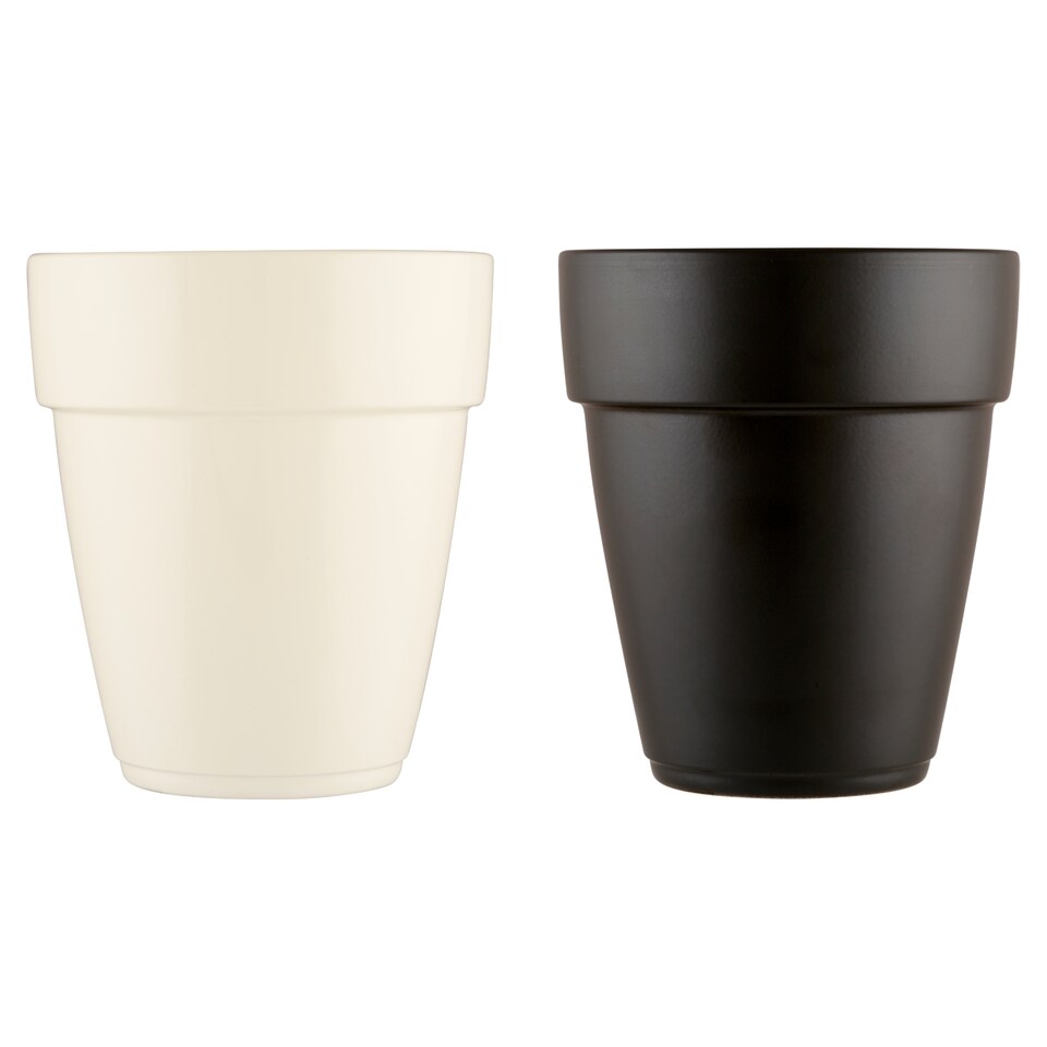 Bordo orchidea Flowerpot 15 cm Mix