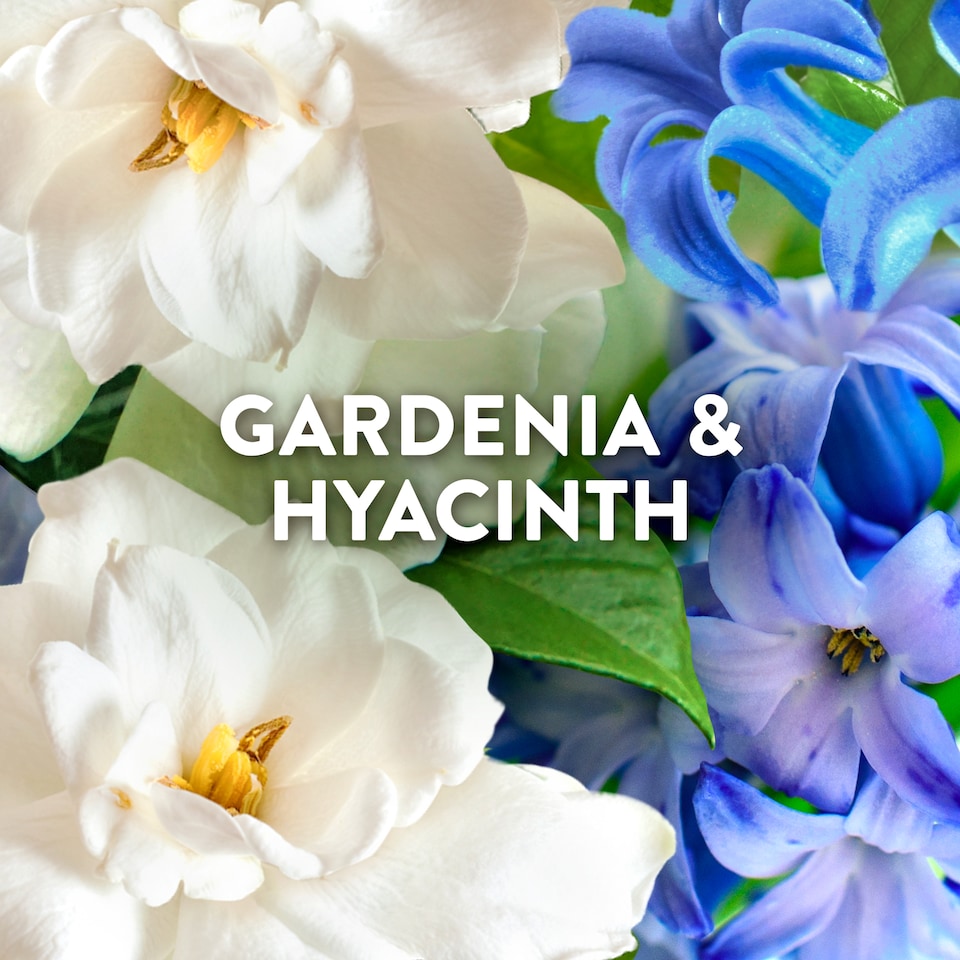 image 1 of Lenor Outdoorable Fabric Conditioner Capri Garden & Hyacinth 53w 742ml