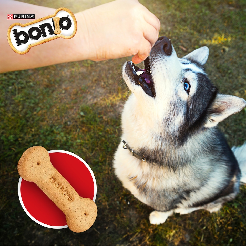 image 1 of BONIO Original Dog Biscuits 1.2kg