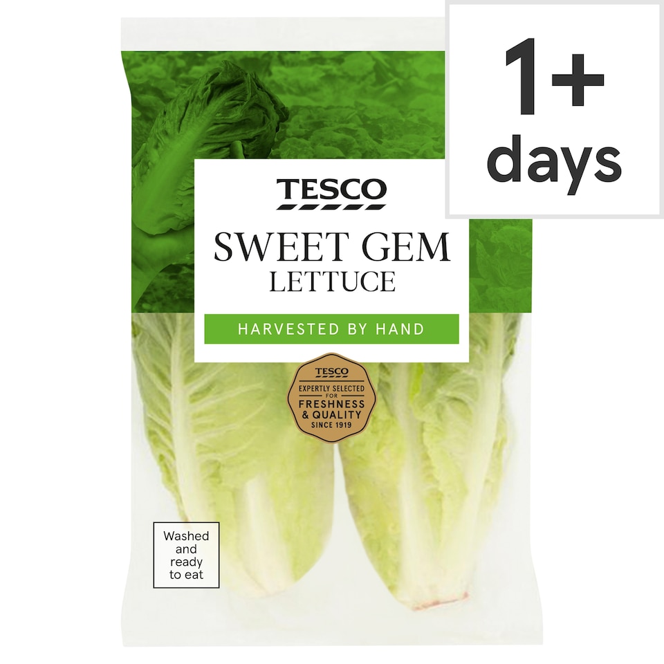 Tesco Sweet Gem Lettuce