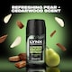 image 3 of Lynx Lower Body Spray Pear & Cedarwood 100ml 