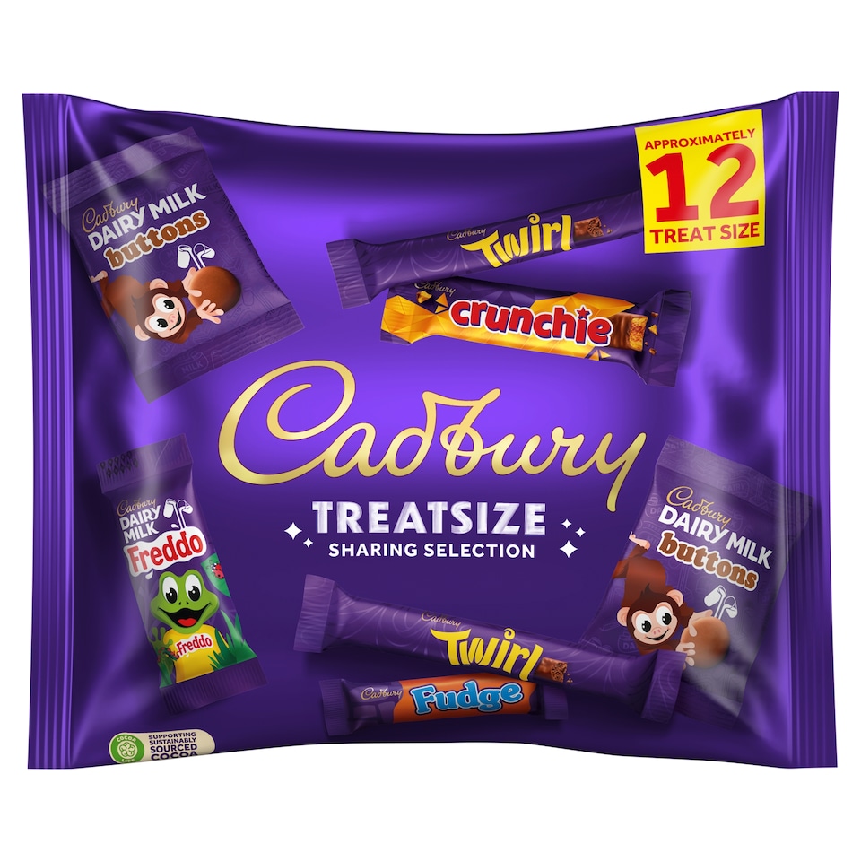 CADBURY FAMILY TREATSIZE 223G 