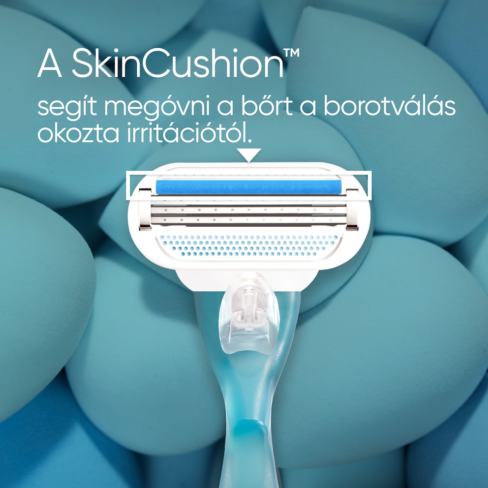 Venus  Borotva,   1. kép