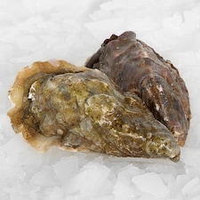 Counter Live Oysters