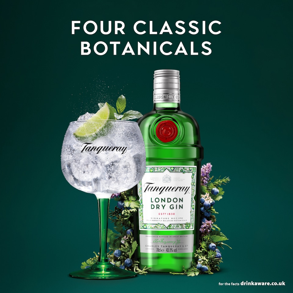 image 1 of Tanqueray London Dry Gin Bottle 41.3% Vol 1L