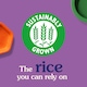 image 4 of Ben's Original Indian Biryani One Pan Rice Meal 250g