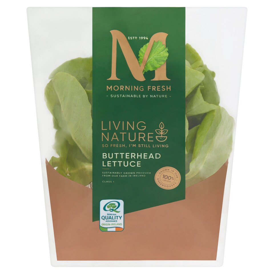 Morning Fresh Living Nature Butterhead Lettuce Tesco Groceries