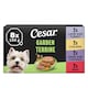 image 1 of Cesar Garden Terrine Wet Dog Food Tray Mixed in Loaf 8x150g