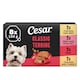 image 1 of Cesar Classics Terrine Wet Dog Food Trays Mixed in Loaf 8 x 150g