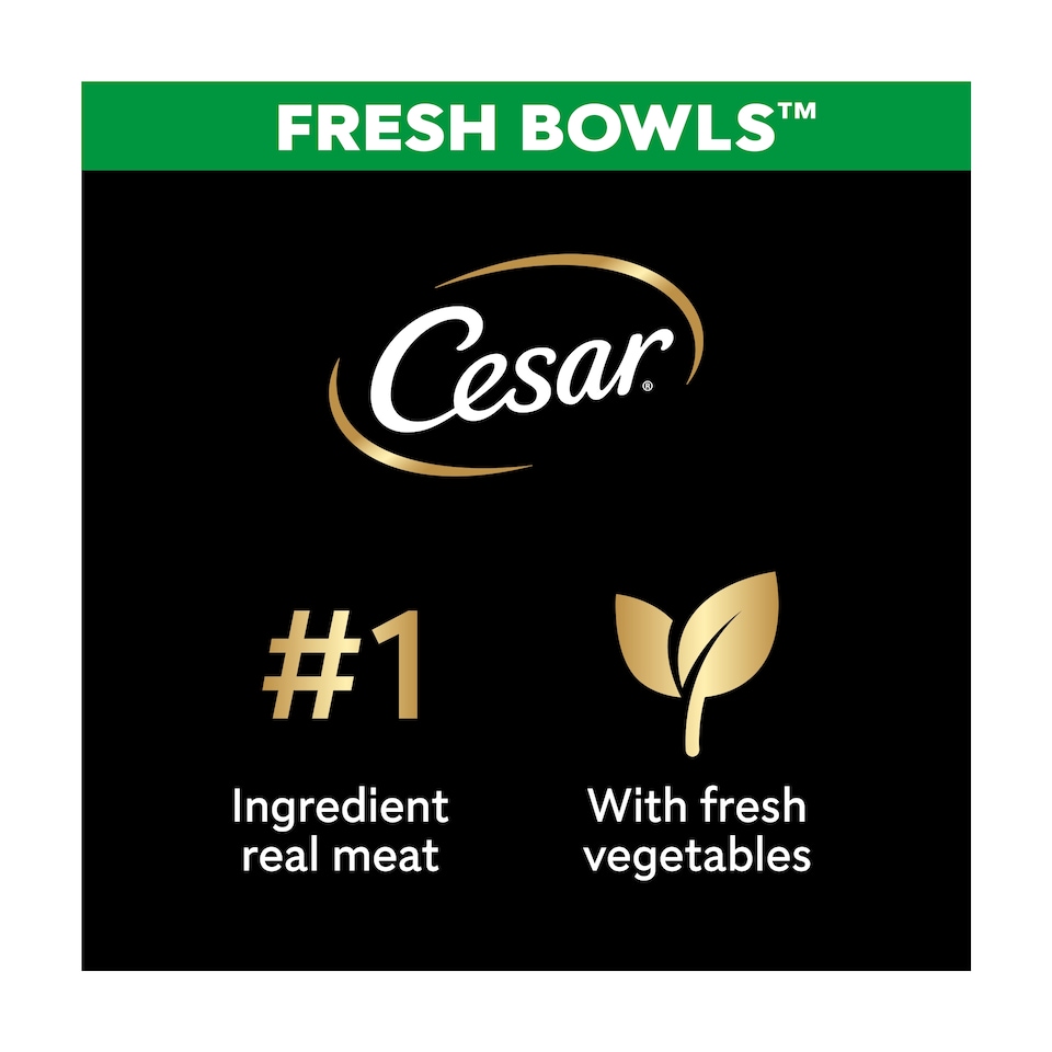 image 1 of CESAR Wet Dog Food Fresh Bowls in Gravy 6 x 85g