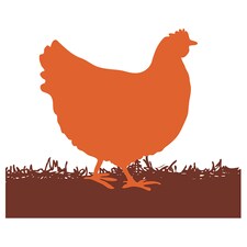 Tesco Chicken 2 Breast Quarters 490-690G
