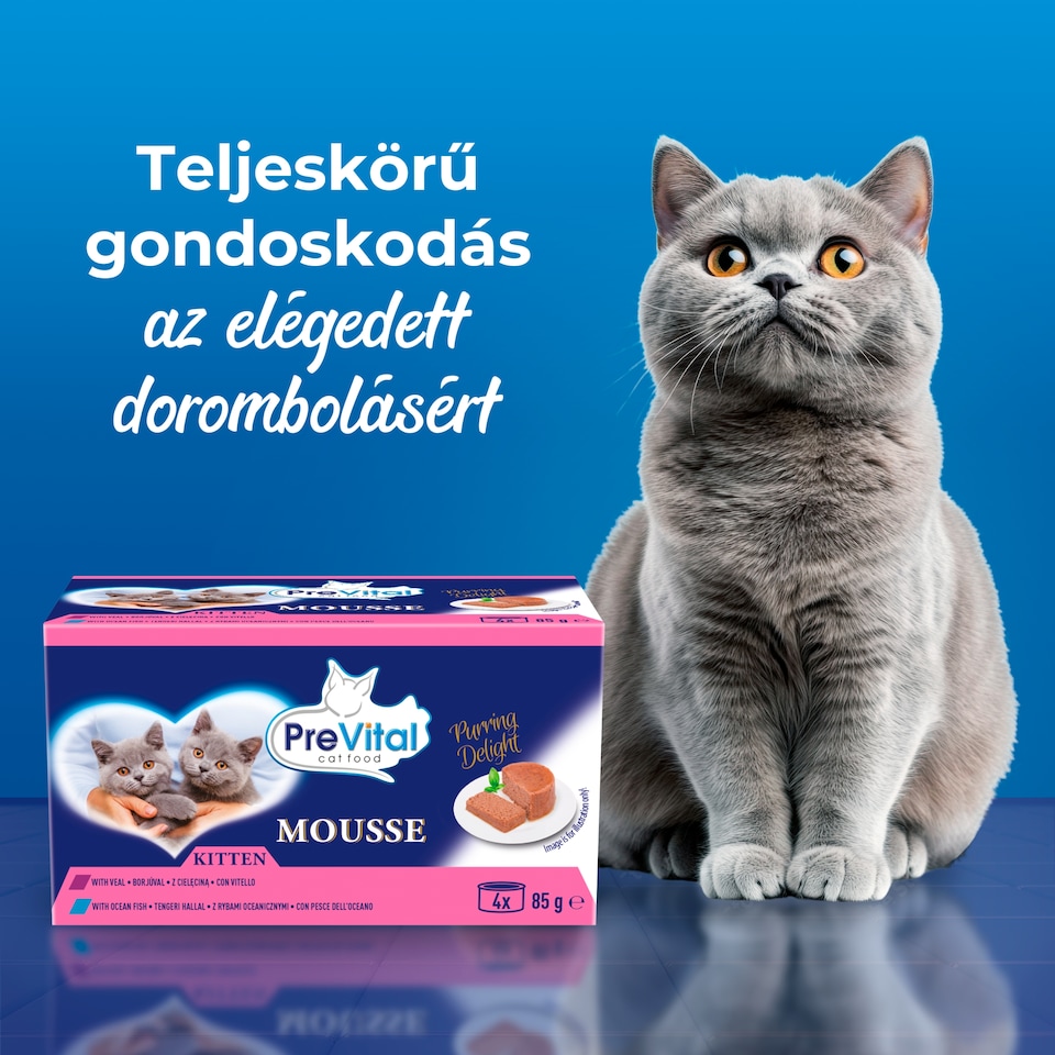 PreVital Mousse nedves macskaeledel, macskatáp kölyökmacskáknak pástétom konzerv 4 x 85 g  1. kép
