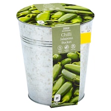 Tesco GYO Bucket Chilli - Green Jalapeno Chilli