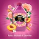 image 3 of Tesco Floral Crush Fabric Conditioner - Rose Blossom & Rhubarb 700ml