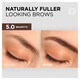 image 3 of L'Oreal Paris Semi-Permanent Eyebrow Tint 5.0 Brunette
