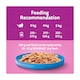 image 5 of Whiskas Adult Cat Food Tin Cans Ocean Menu in Jelly 6x400g