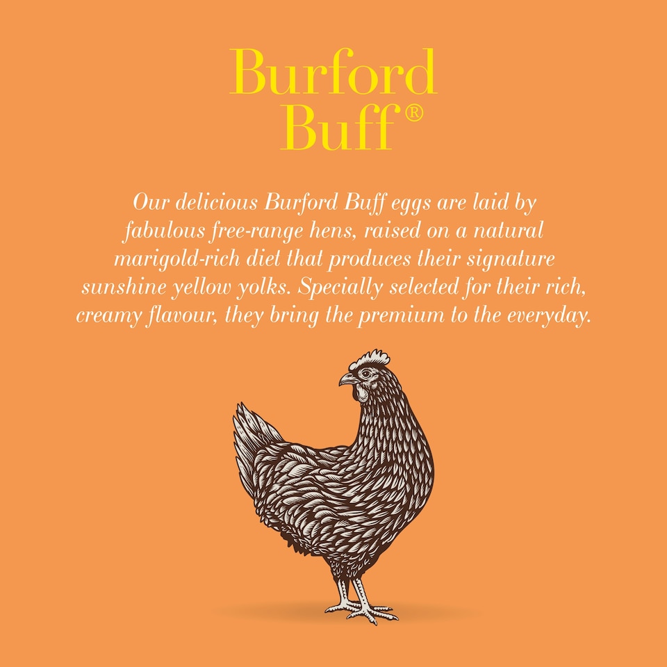 image 1 of Clarence Court Burford Buff Large 6 Eggs