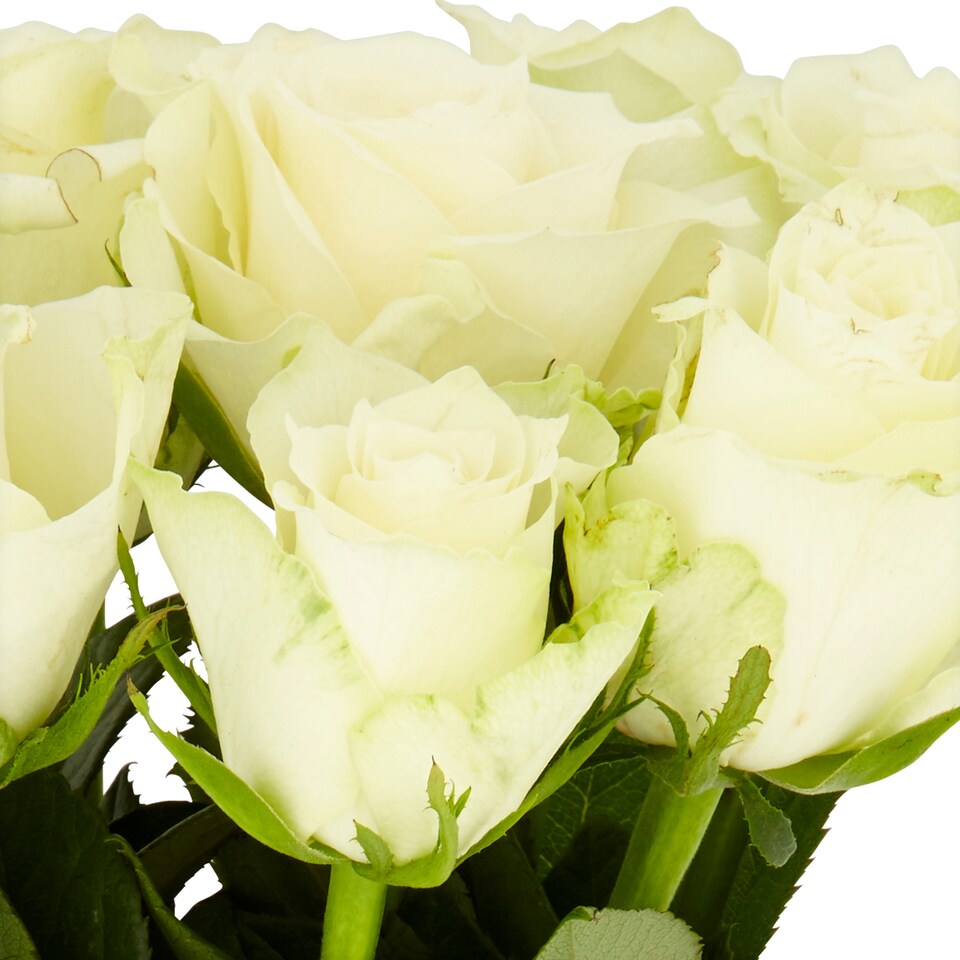 image 1 of Tesco Small White Roses Bouquet