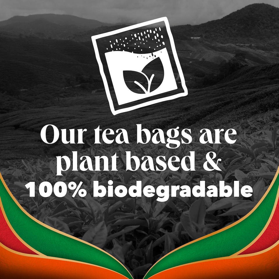 image 1 of PG Tips Chai Speciality Tea 70 Tea Bags 175g