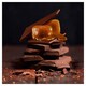 image 5 of Magnum Mini Double Caramel & Chocolate Ice Cream 6X60ml