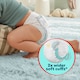 image 4 of Pampers Premium Protection Essential Nappy Pants Size 6 24 Pack