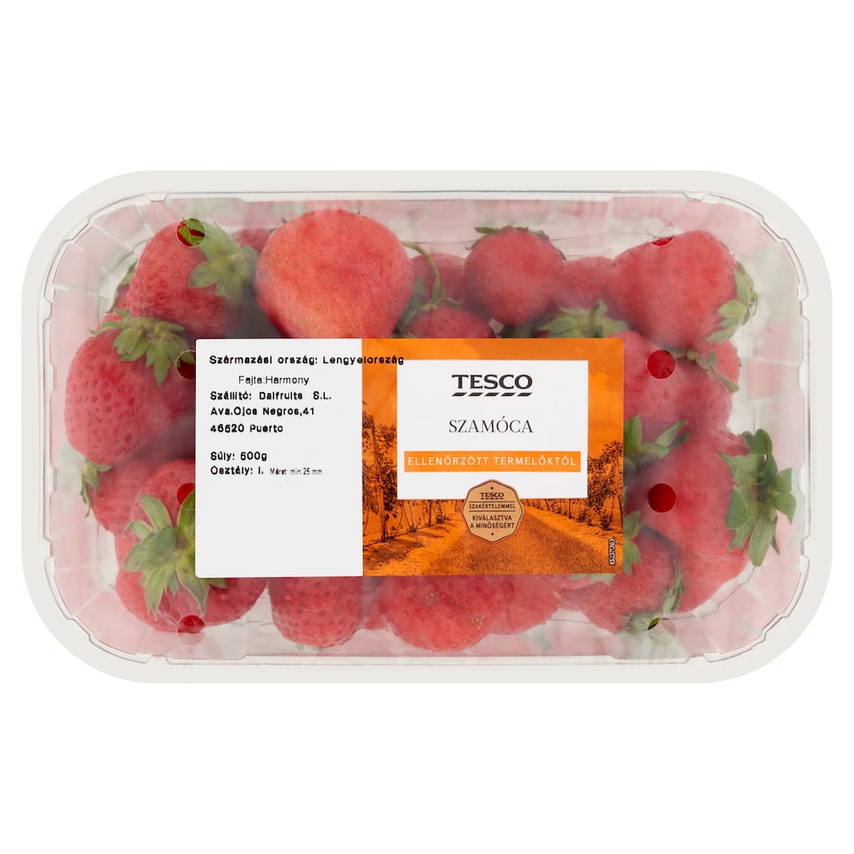Tesco Strawberries 500 g
