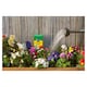 image 2 of Miracle Gro Soluble Plant Food 1Kg