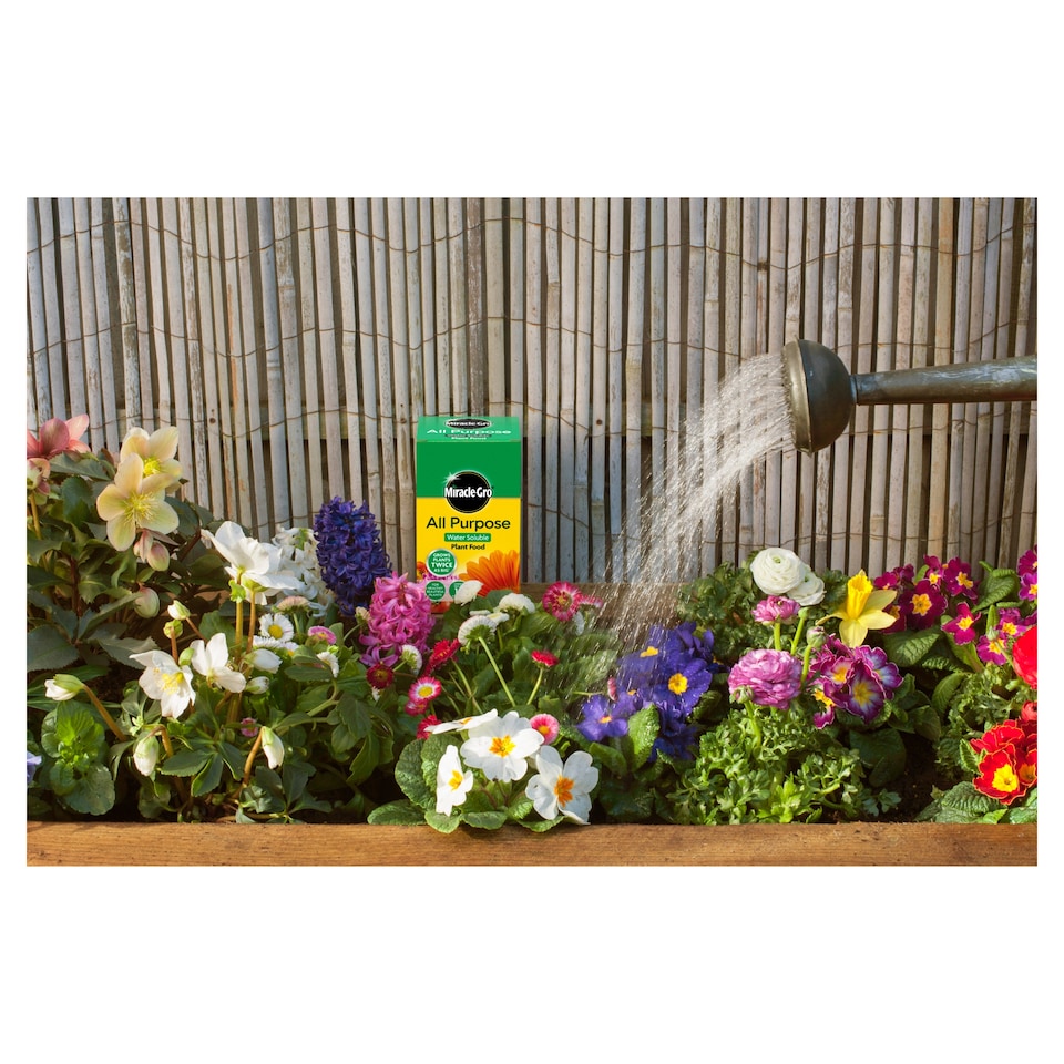 image 1 of Miracle Gro Soluble Plant Food 1Kg
