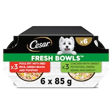 CESAR Wet Dog Food Fresh Bowls in Gravy 6 x 85g